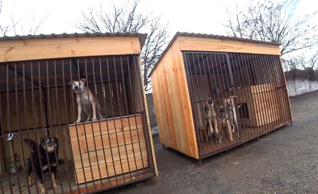 New enclosures for dogs.